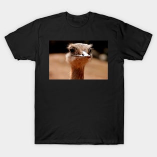 If Only Emu T-Shirt